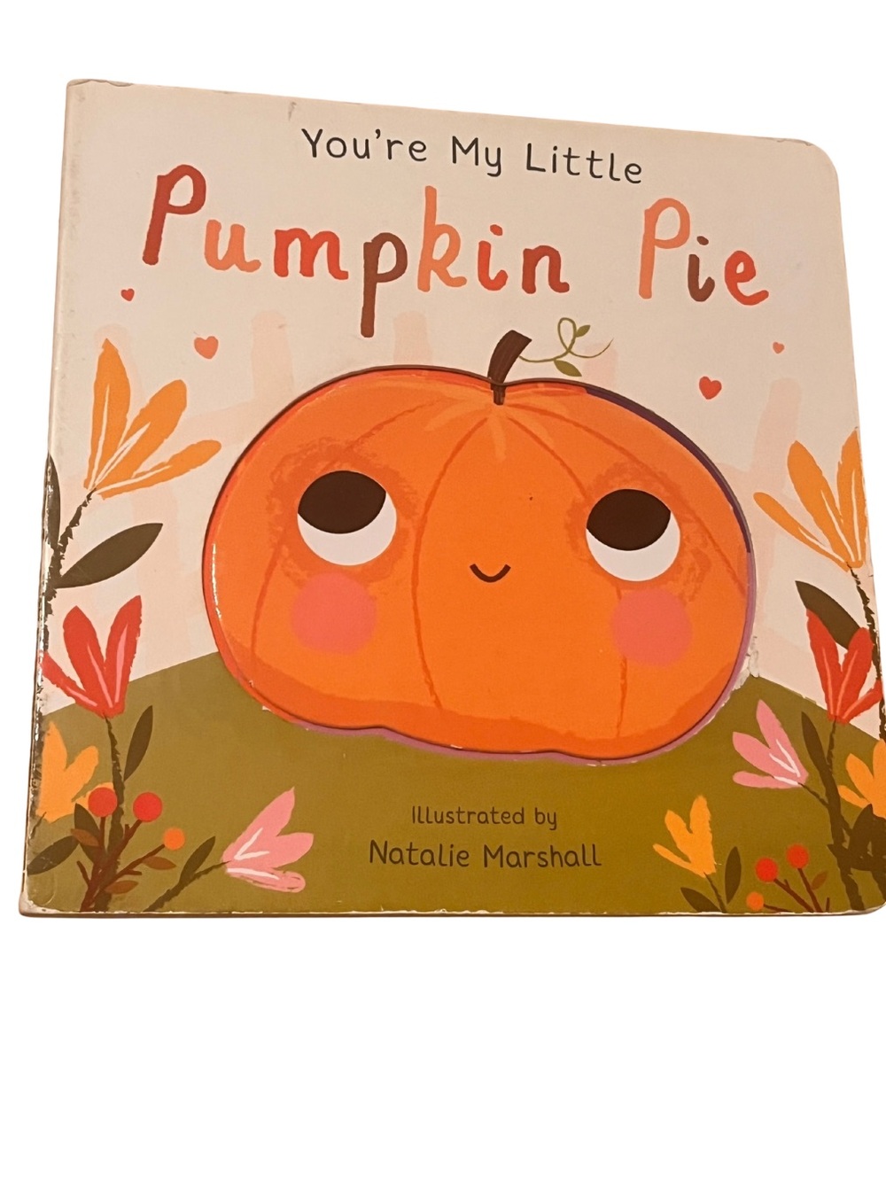 You're My Little Pumpkin Pie Board Book Natalie Marshall Autumn Thanksgiving
